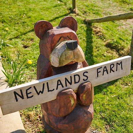 Newlands Farm Stables Kendal Exterior foto
