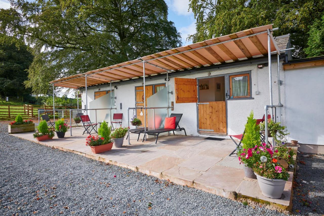 Newlands Farm Stables Kendal Exterior foto