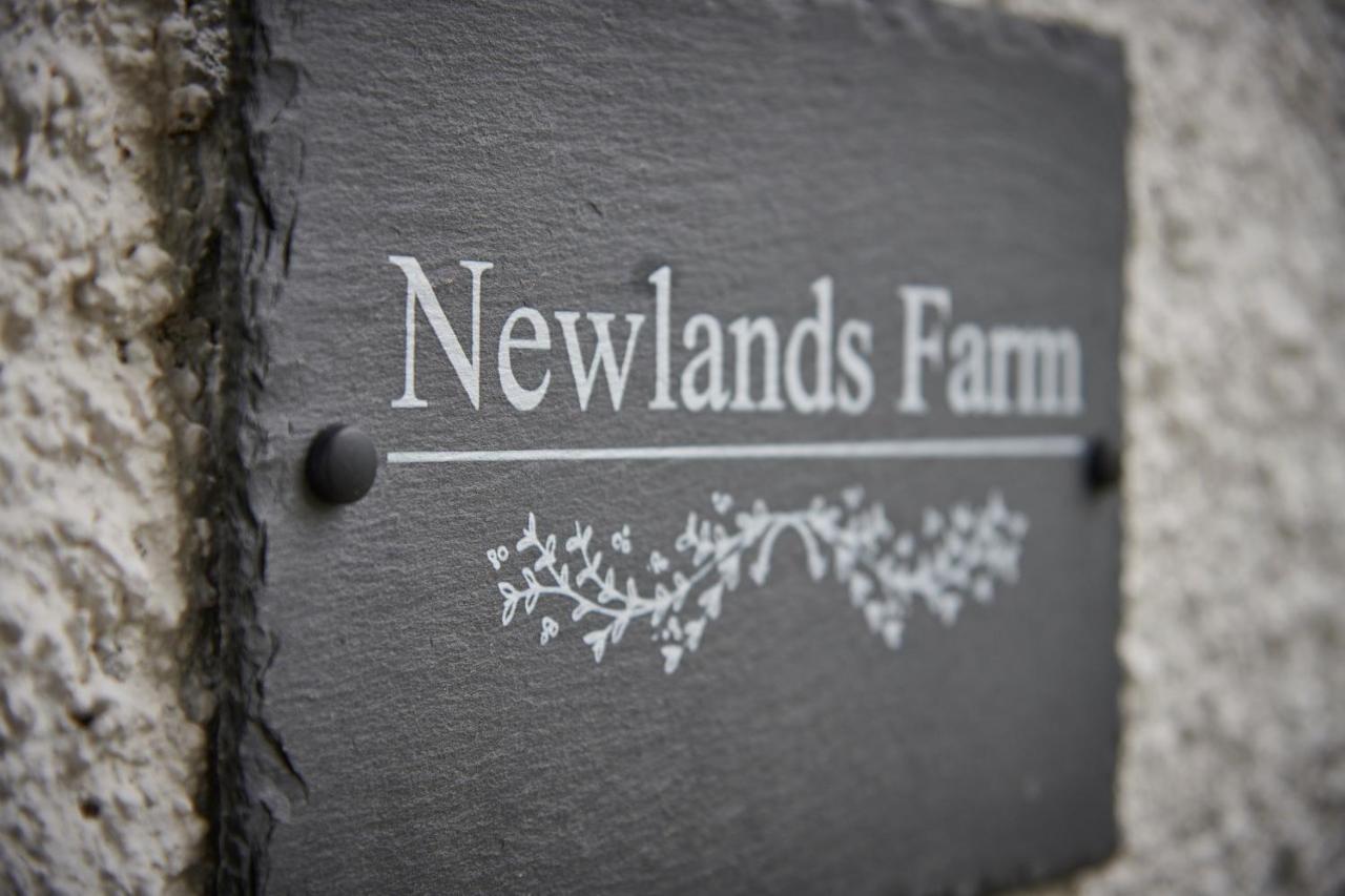Newlands Farm Stables Kendal Exterior foto